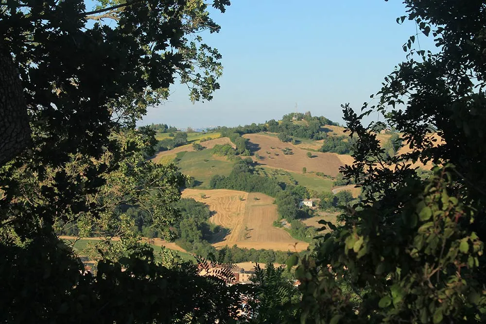 Osservatorio